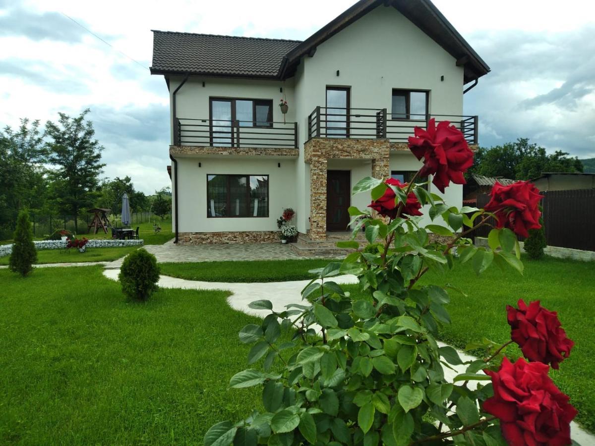 Pensiunea Casa Nusa บายาเดเฟียร์ ภายนอก รูปภาพ